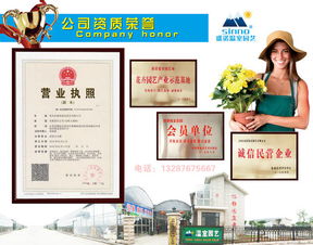 2017花海設(shè)計(jì)、造價(jià)與十年種植施工經(jīng)驗(yàn)下的數(shù)字內(nèi)容制作服務(wù)